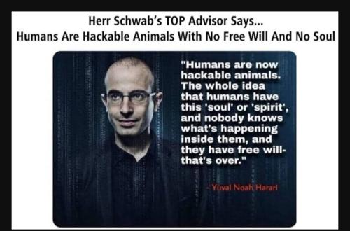 Screenshot_20230726_174102_YouTube