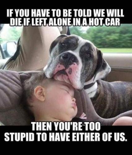 FB_IMG_1690495370799