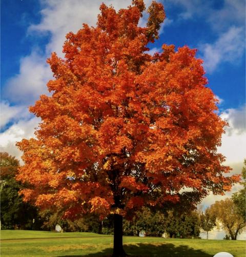 0D564F3F-C8AA-4BA2-8E87-BB6A48807E62