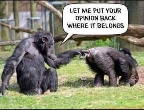 357710196_1388743551699526_2667639276977884613_n