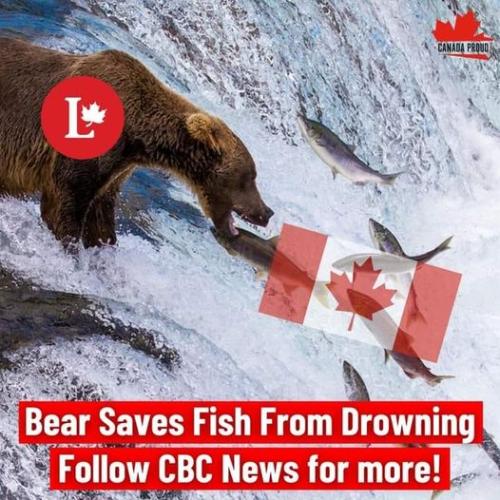 CBC