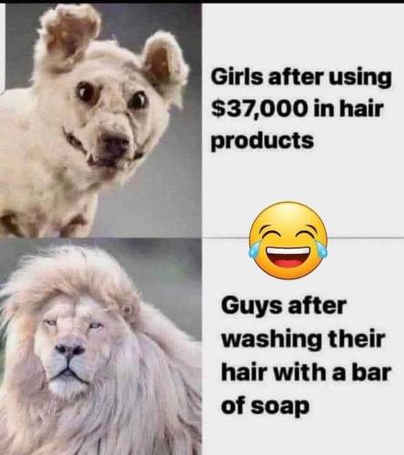 hair products
