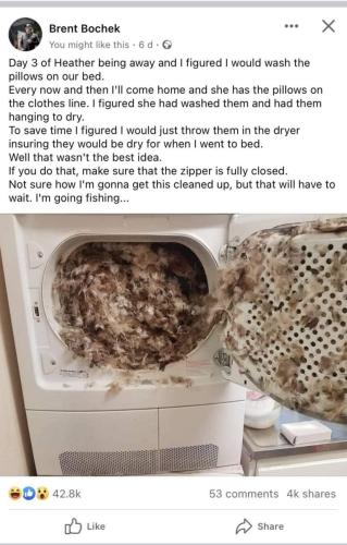 pillow in the drier