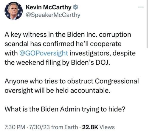 Biden corruption witness