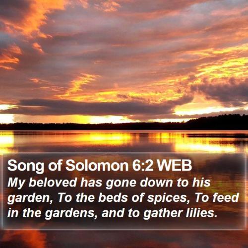 Song of Solomon 6_2