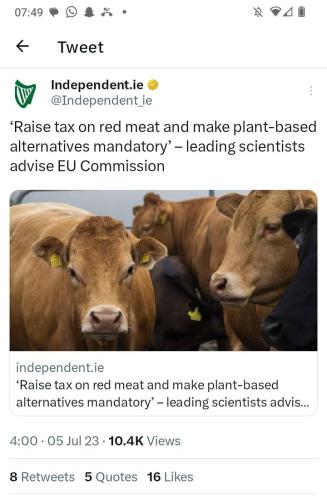 IMG_20230706_161547_217