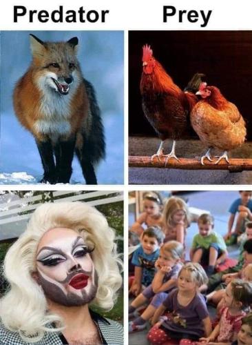 FB_IMG_1689473890164