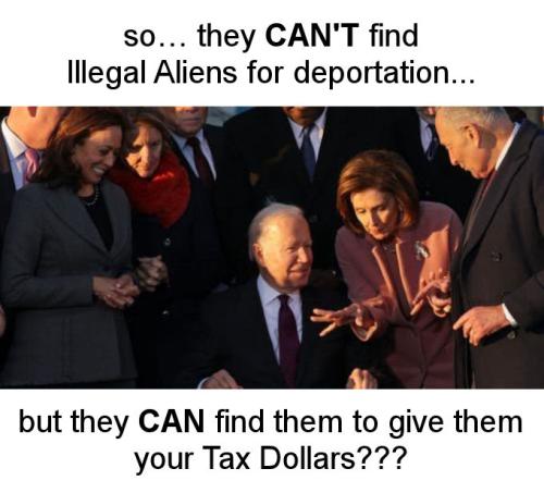 illegal immigration293
