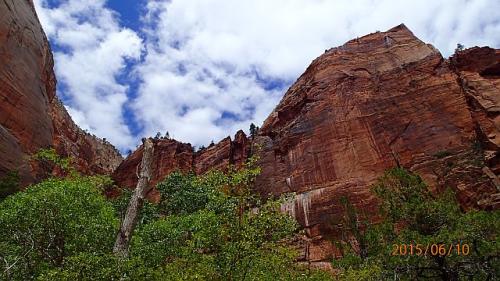 Beautiful Zion P6100951