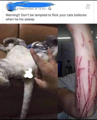 FB_IMG_1689613333914