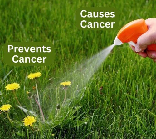 photo_2023-07-23_22-48-43