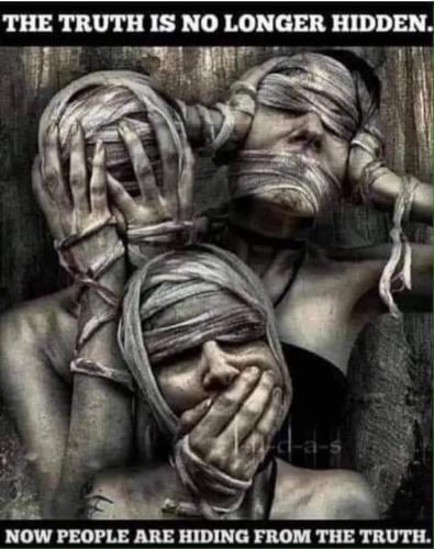 FB_IMG_1689474651074