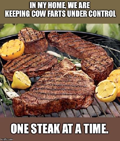 358387225_1011159986825386_7455608266001619685_n