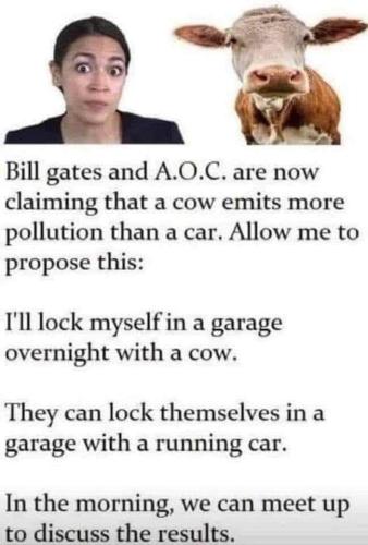 cow farts