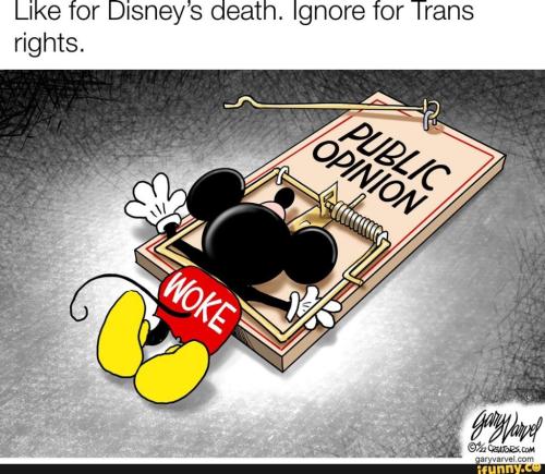 8f6bc88e-0dcb-46c6-89e0-53930c3fe83e