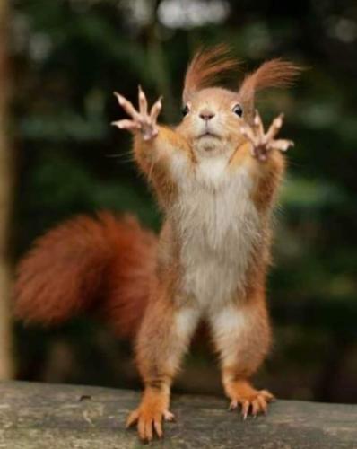 Screenshot_20230722_045059_Facebook