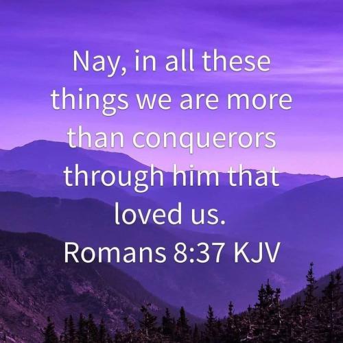 9f22ebf2-f8fa-40aa-8772-0d38403101d8