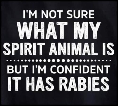 tumblr_107606773854e8c4f5027f6783a517d7_9975becd_1280