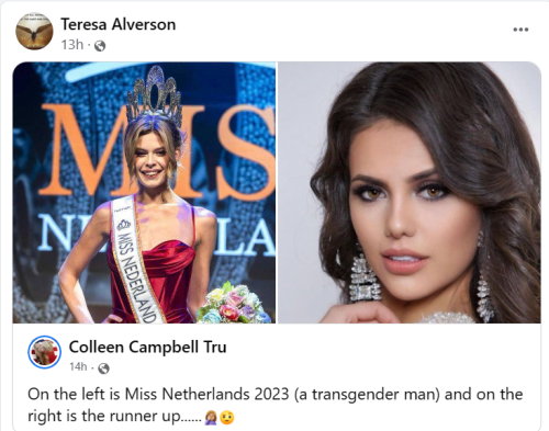Trans 1