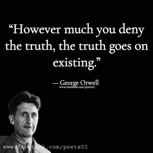 FB_IMG_1688485722672