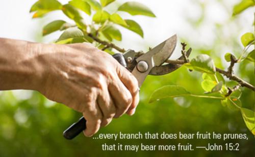 00f46b_c631eb09828a415fa6c0f362f9a65932_mv2