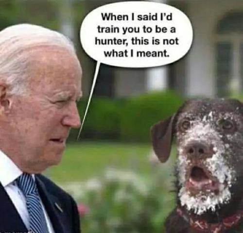 7ebaccee-cb5f-4648-9bca-02910b46f0cd