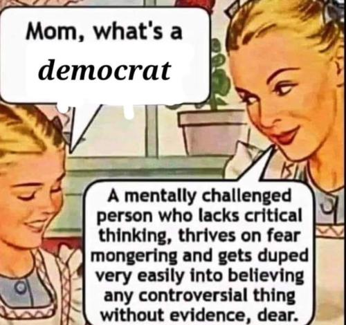 FB_IMG_1688741648178