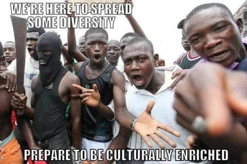 FB_IMG_1689862579038