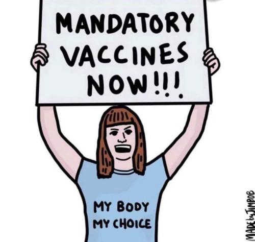 FB_IMG_1690756665925