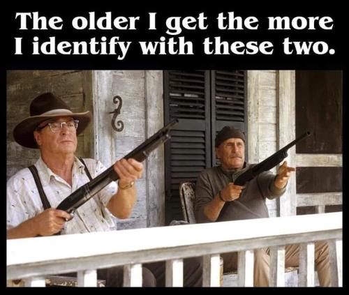 The older I get second hand lions