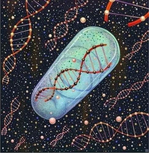 282665811_28694591700