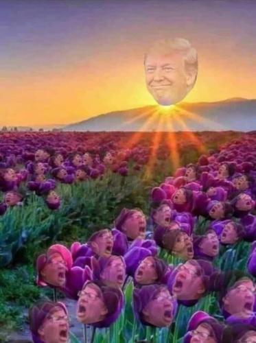 356677726_988568328833223_3448690085844956775_n