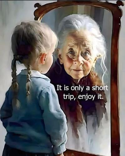 357051977_668929885273898_2532961167806886374_n