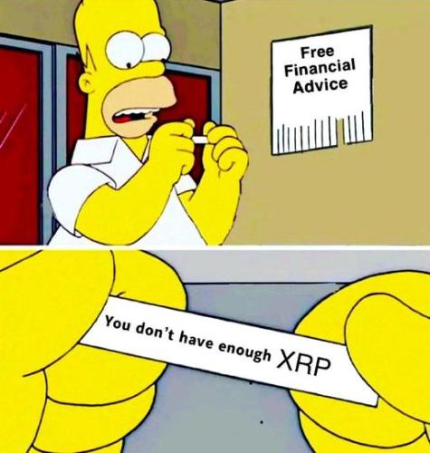 344442197_58197597069