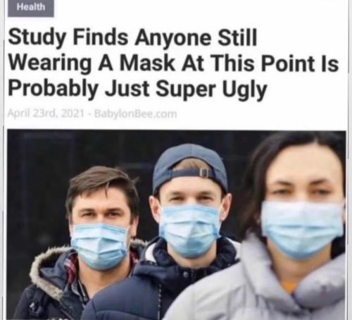 Screenshot_20230730_135132_Instagram