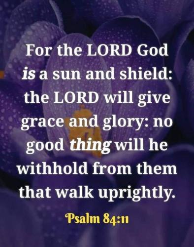 b3ddc7ea-188f-48f2-9ea4-478090ffb240