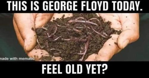 FB_IMG_1690223273889