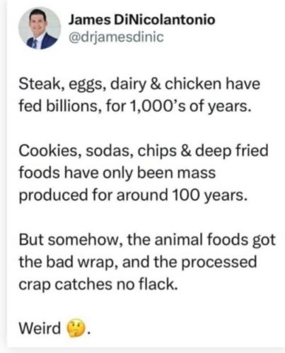 Screenshot_20230709_012328_YouTube