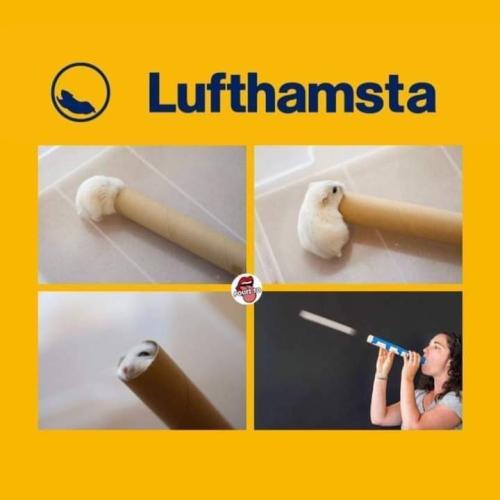 FB_IMG_1688740539186