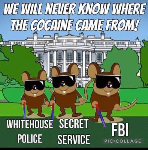 aff1362a6c59b512 (1)