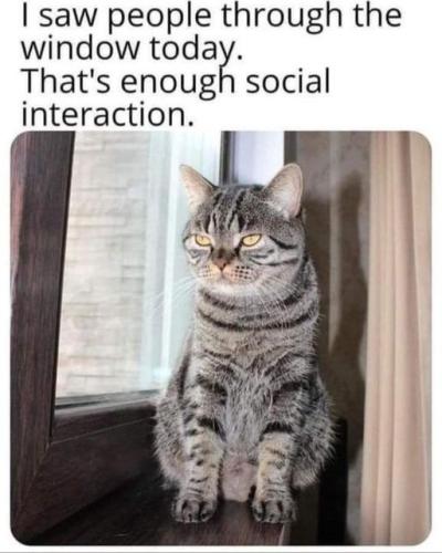 357463367_605483351676560_2568098546385803967_n