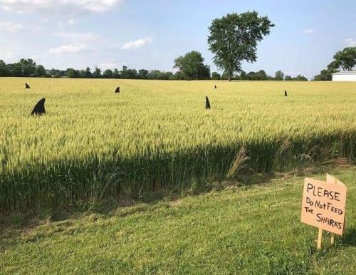 FB_IMG_1689693438562