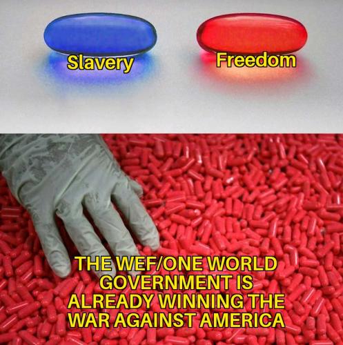Blue Pill Red Pill 10072023095208