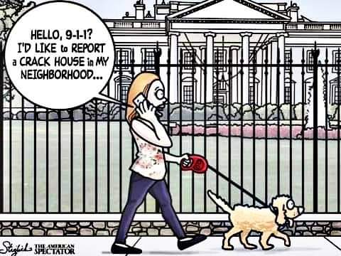 FB_IMG_1690621705159