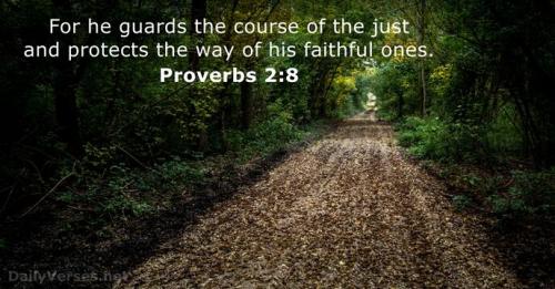 Proverbs 2_8