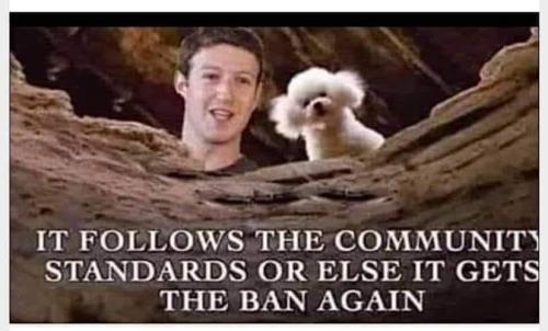 358054523_1671423583376172_7135931062060412036_n