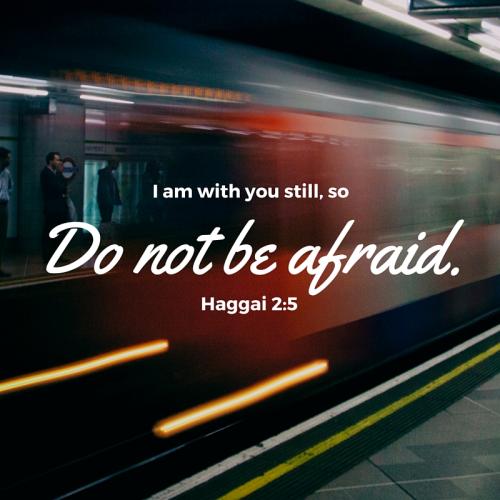 Haggai 2_5