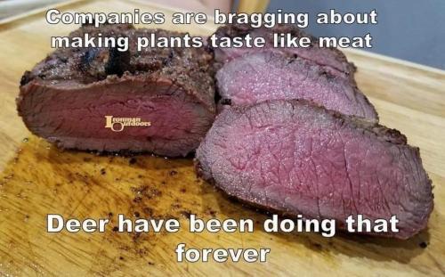 FB_IMG_1689377171046
