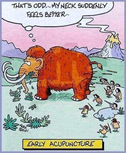 FB_IMG_1690012722355