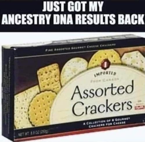 347409599_1395700521329824_2208211129338292237_n